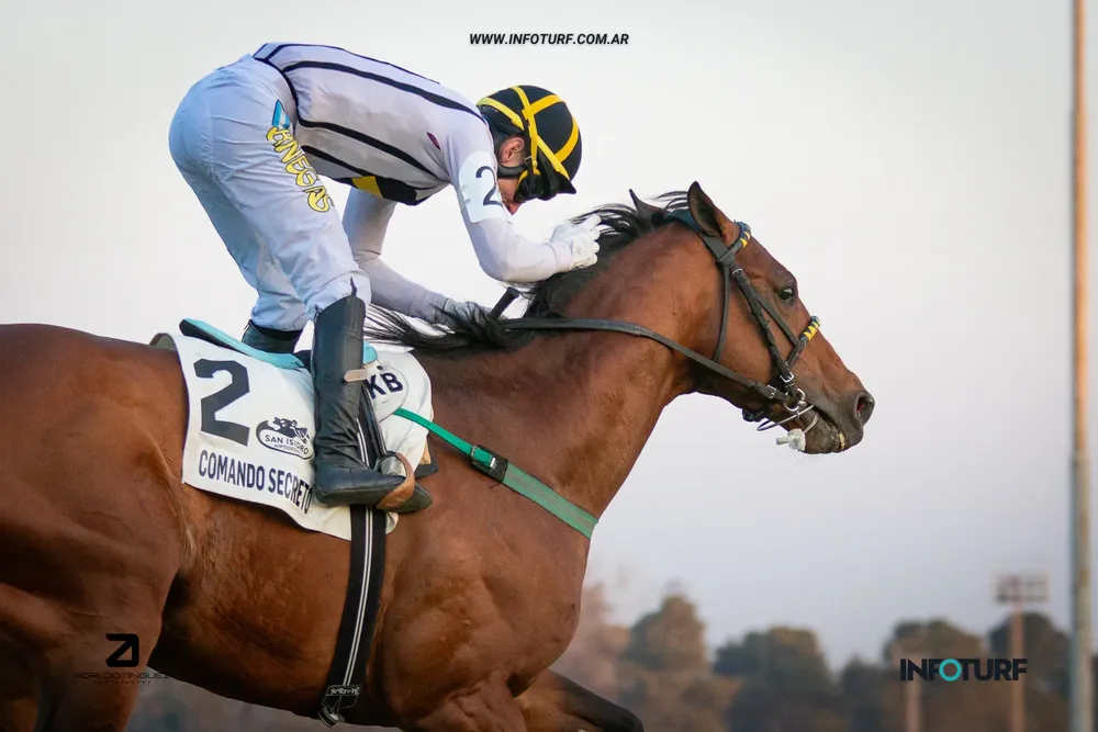 comando 9 de julio 4