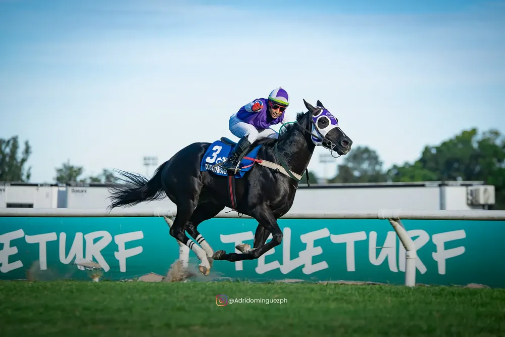 COLIFATO 2202 (1 de 1)