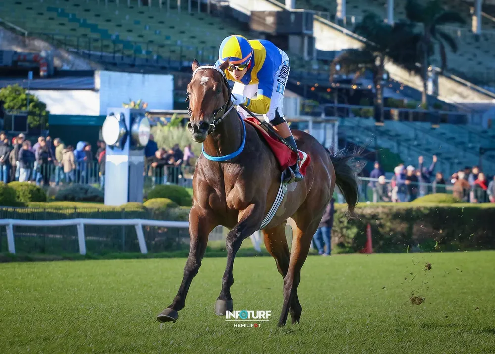 FULL CALUROSO SANGUINETTI-2