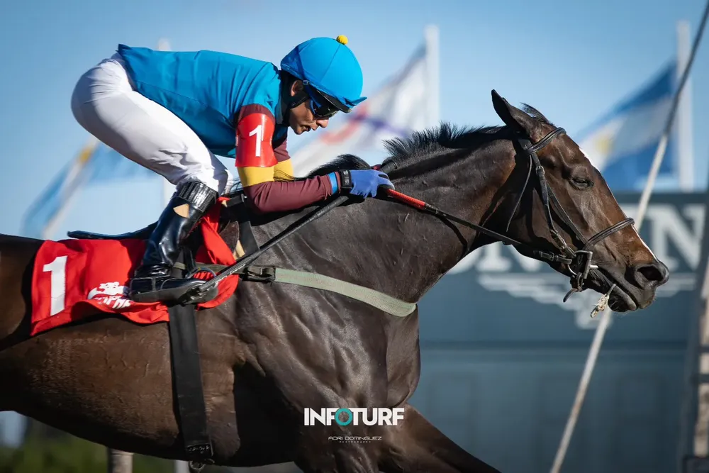 Vision Triomphe Los Haras (4)