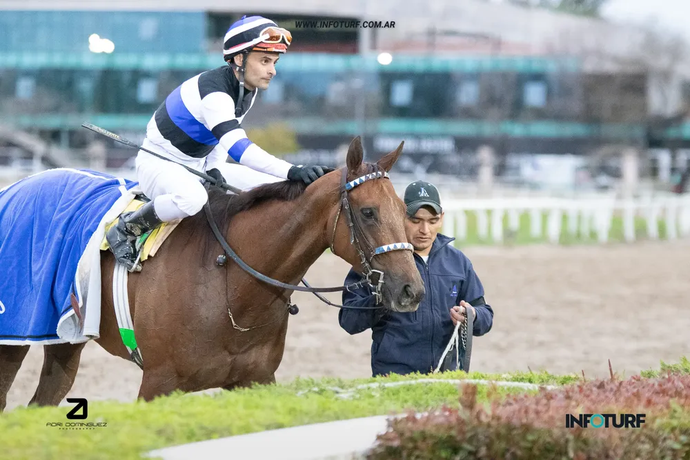 nos dijimos todo chile 3