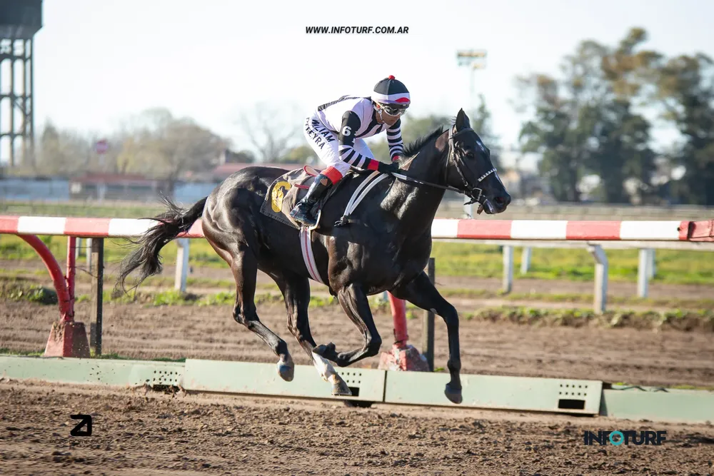 emmspacial boy (2 de 4)