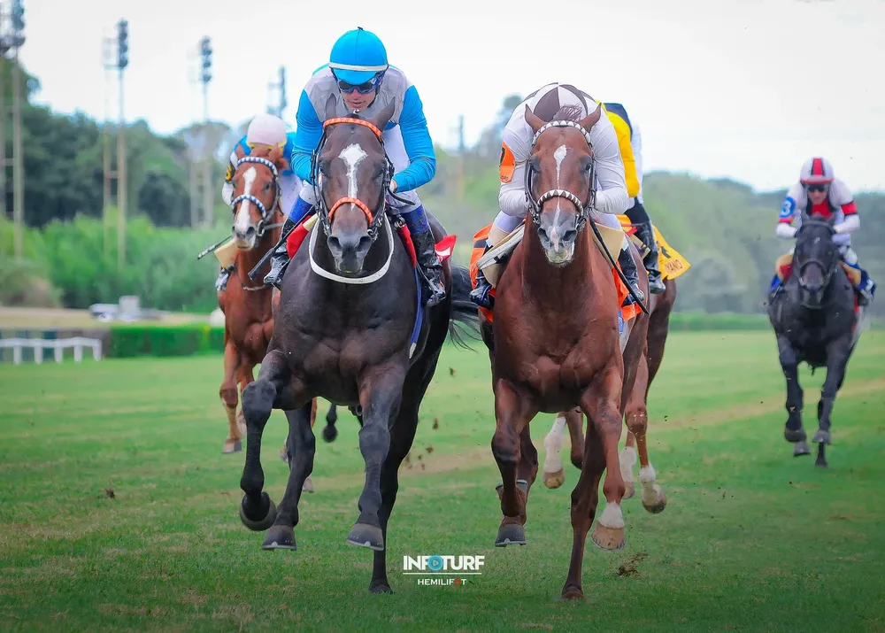 QUE TARDE GRIS 2103 (1 de 3)