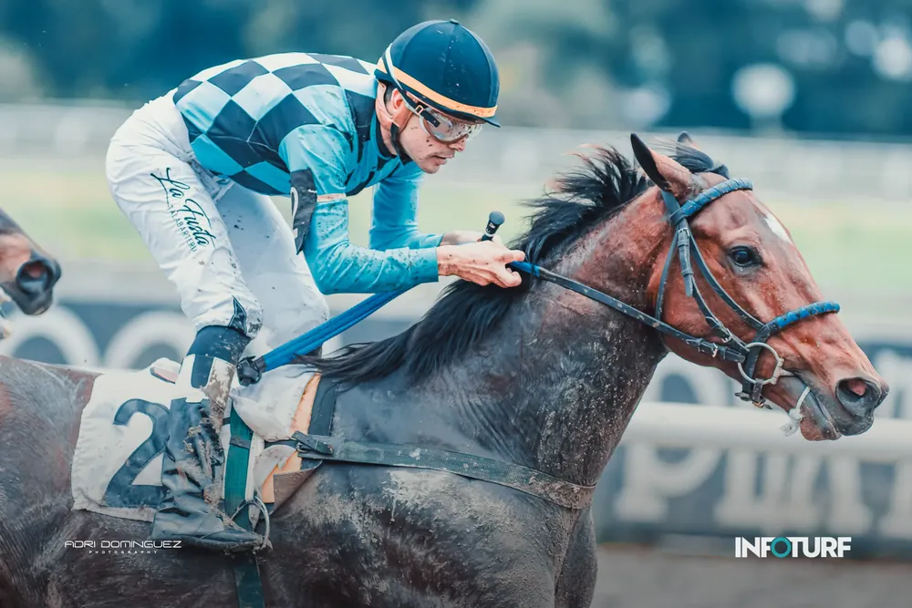 BOLERO FRANK (2 de 3)