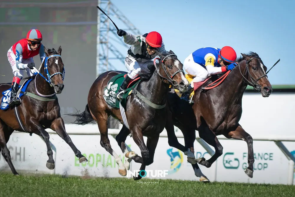 ANSIA CLARA - G.P. SUIPÁCHA (4)