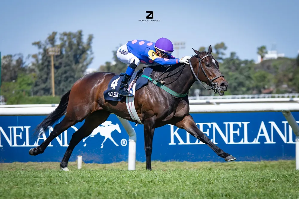 386383866_828480895944258_8622514244400722521_n