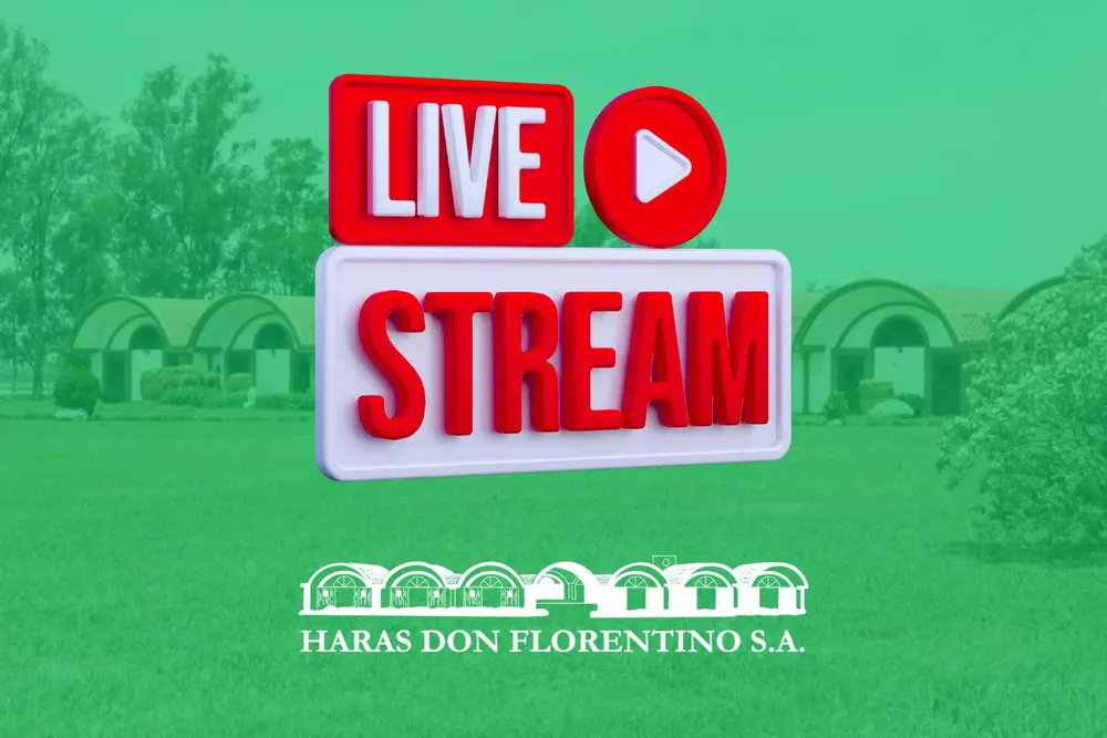 tapa pronosticos (5)