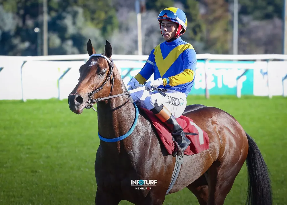 FULL CALUROSO SANGUINETTI-3