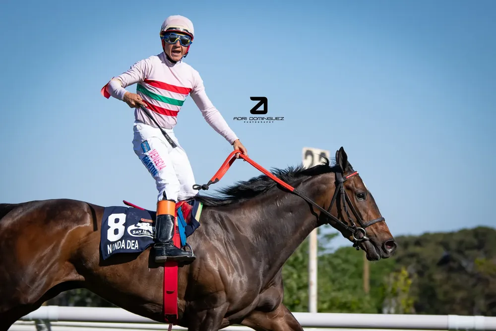 386758224_828375815954766_7939158670065131250_n