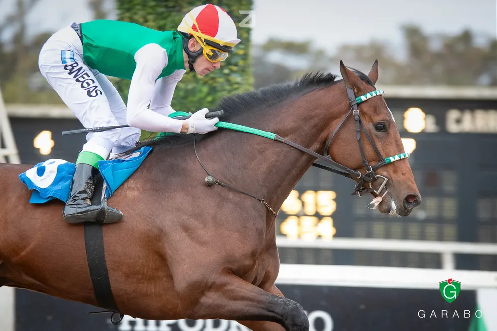 JARDIN DEL POETA (6 de 13)