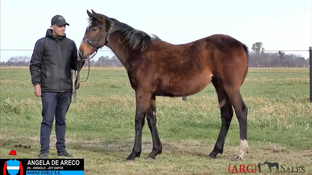 Captura de pantalla 2024-09-08 133341