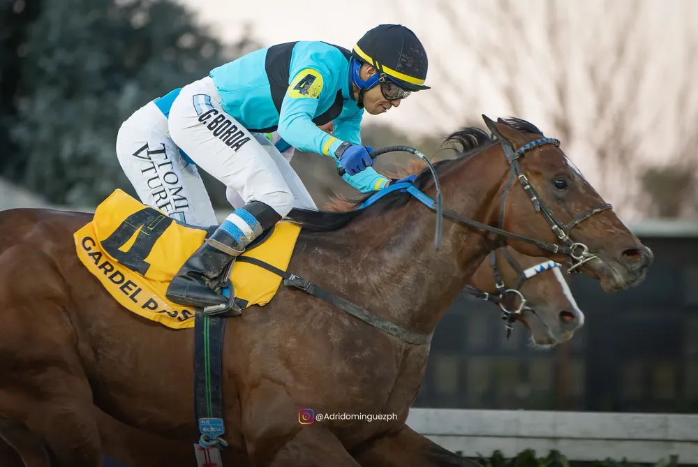 GARDEL PASS POLLA FEED-2