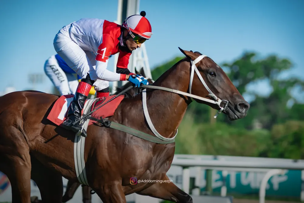 ENTER THE CLUB (3 de 6)