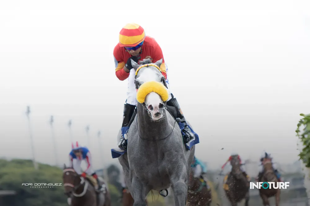 AMOR DE CONTRAMANO G1 FEED-3