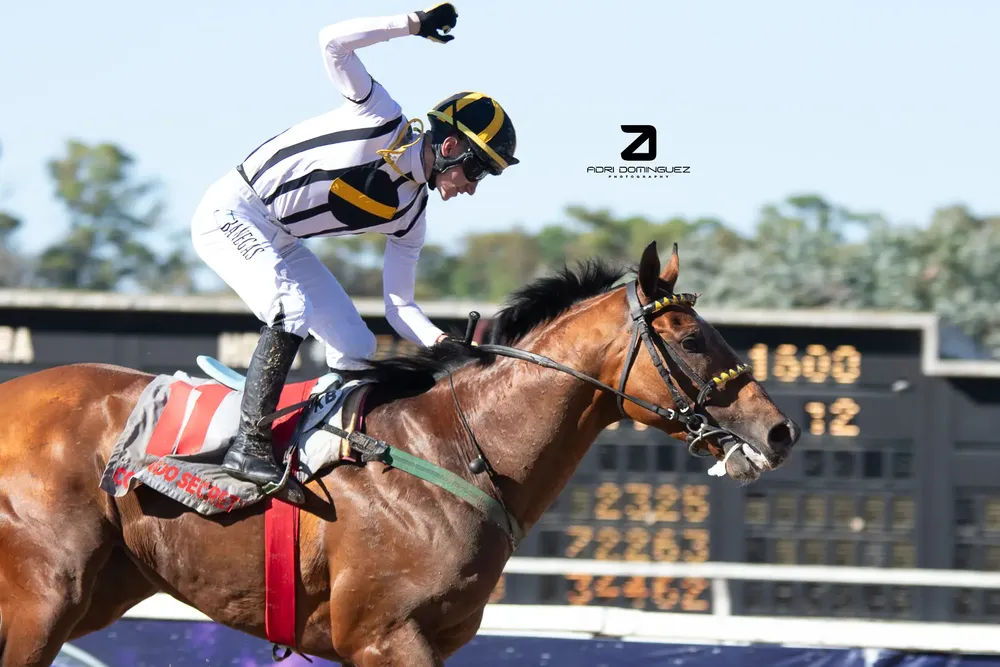 comando secreto G.P. PALERMO (3)