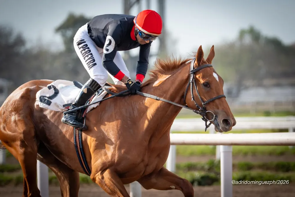 Personal Filly seleccion llp