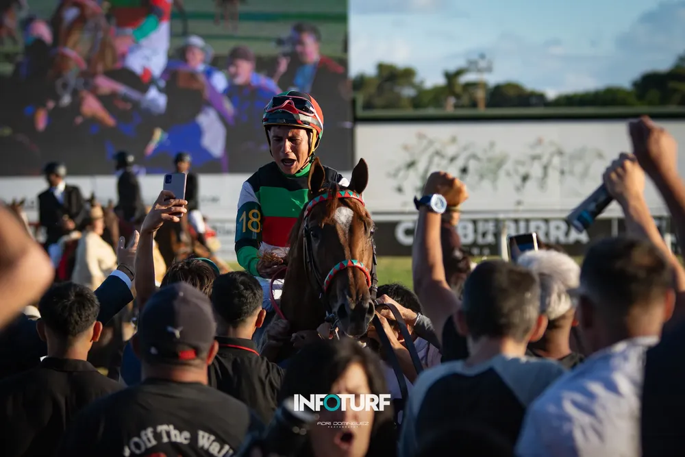 INTENSE FOR ME PELLE-2482