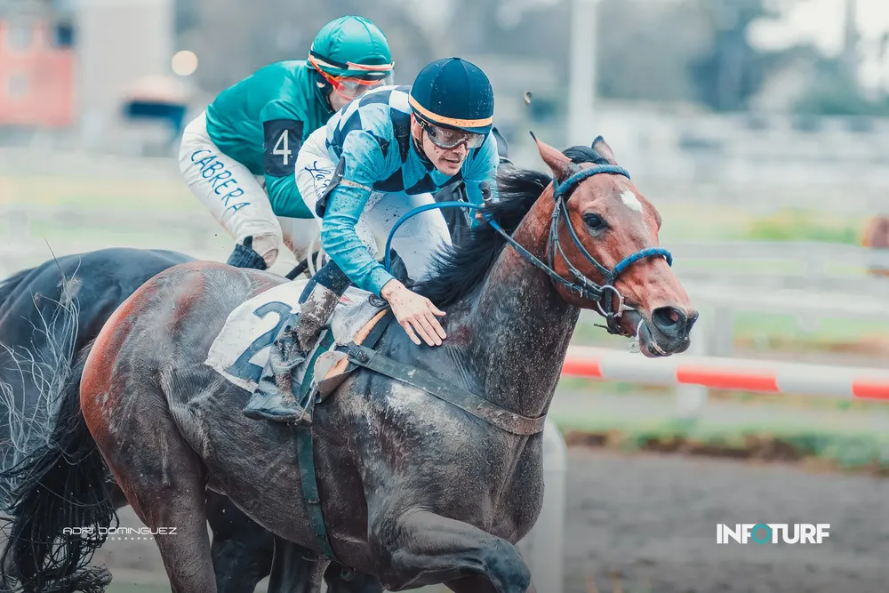 BOLERO FRANK (1 de 3)