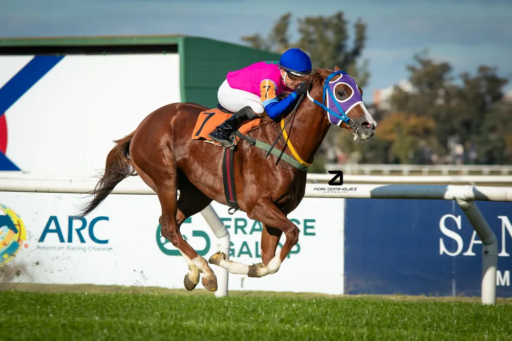 ecologo estrella (1 de 1)