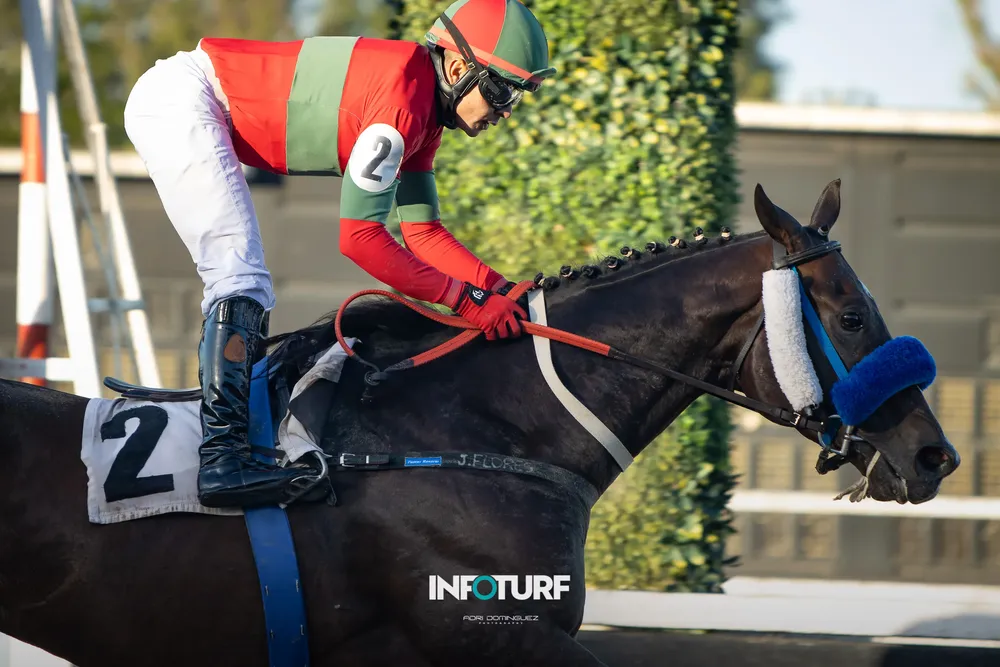 el mejor recuerdo--6