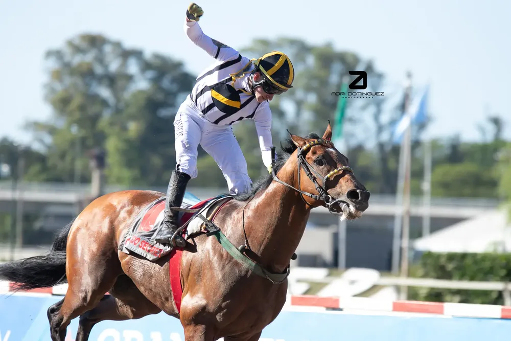 comando secreto G.P. PALERMO (1)