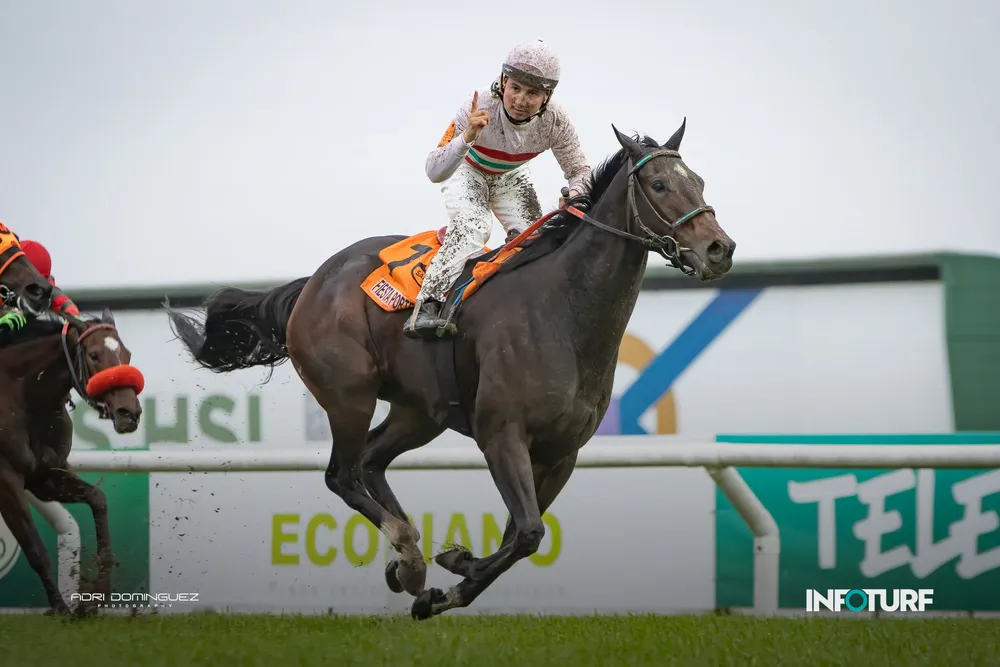 FIESTA PORTEÑA feed-1