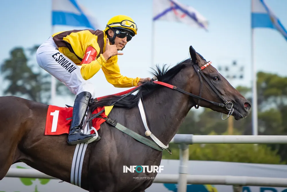 SAVE YOUR TEARS PORTAL-