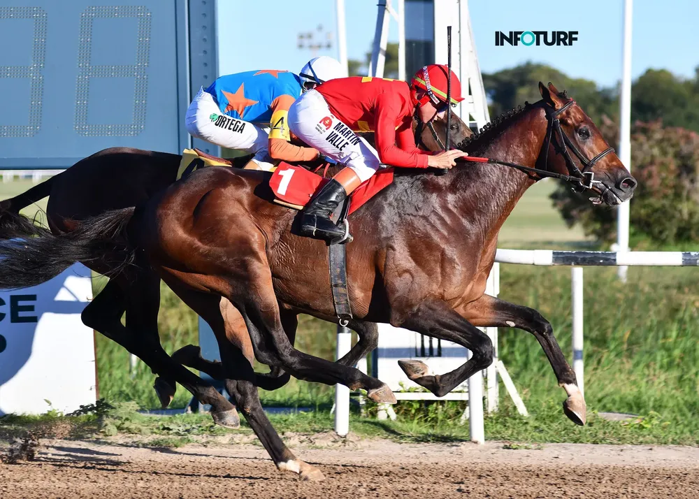 434641552_948608220598191_5816110544713013015_n