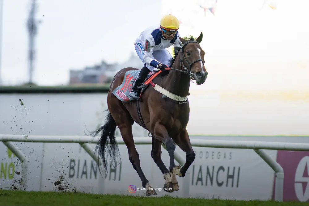 the great racing (7)