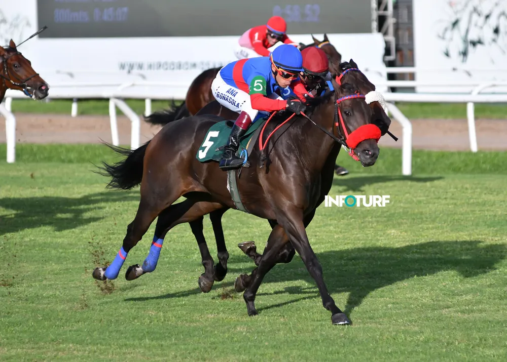 8 º 5 ENJOY DANCING (1)