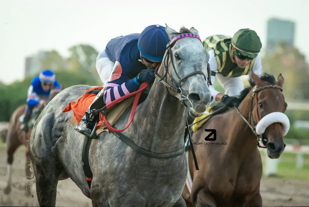 piedra preciosa 2405