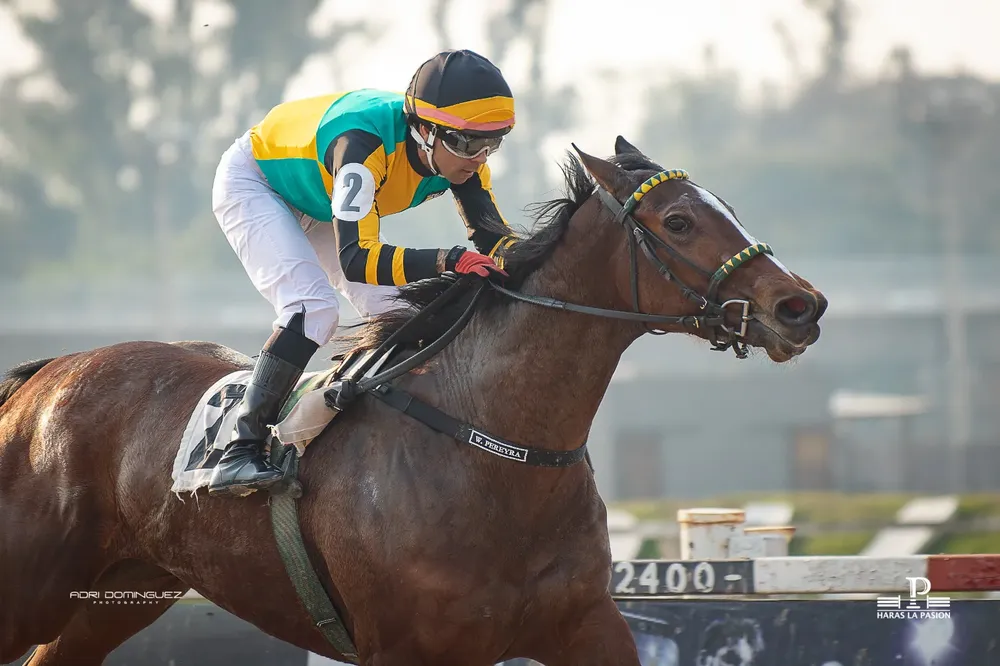 WhatsApp Image 2024-08-02 at 23.07.48