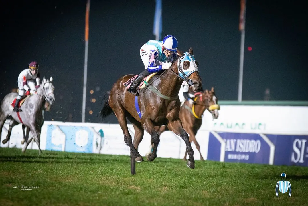 • HACER UN PUENTE •En la jornada de las Estrellas tuvimos la emoción de ver la vuelta de Hacer un puente con su victoria por tres cuerpos sobre la milla en el Hipódromo de San Isidro bajo la conducción de @cristian