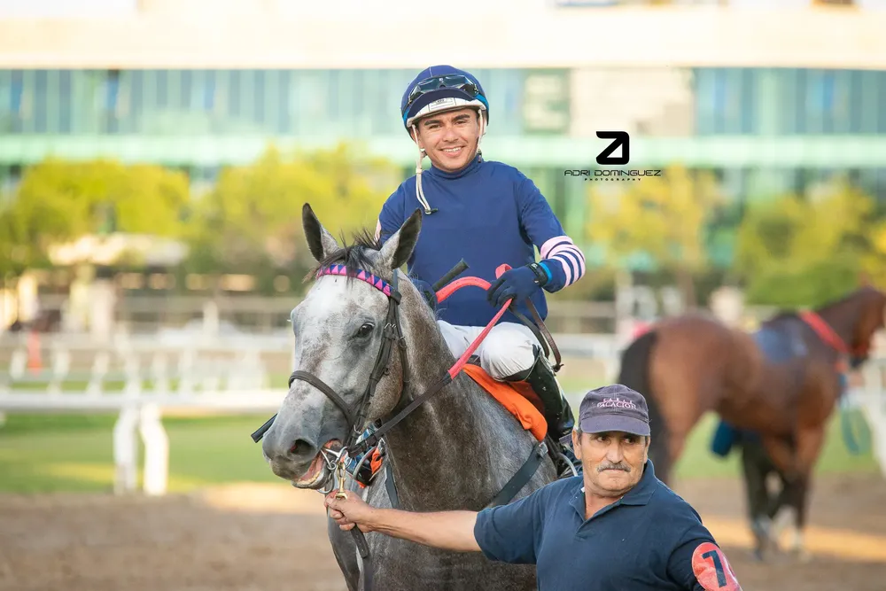 piedra preciosa 2405 2