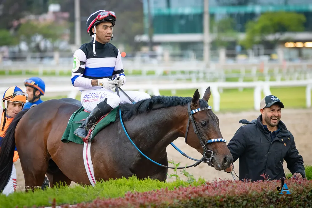 EL KODIGO CASARES (4)