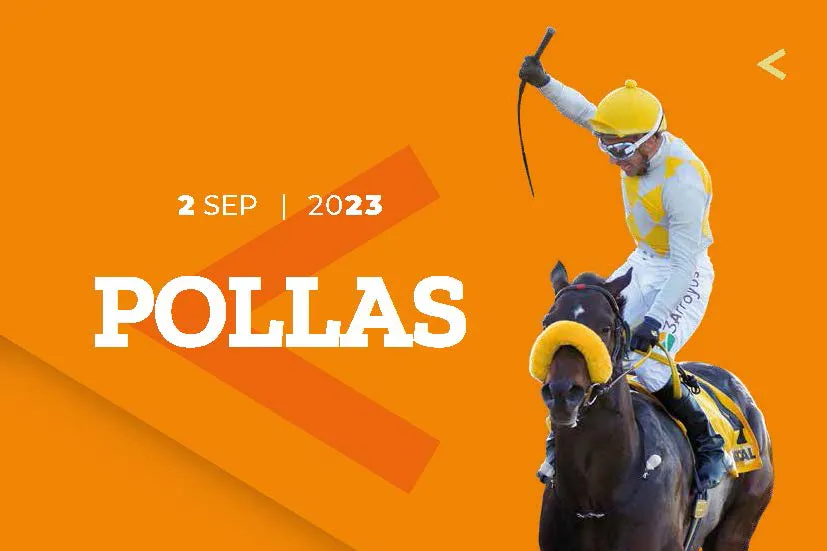 POLLAS TAPA