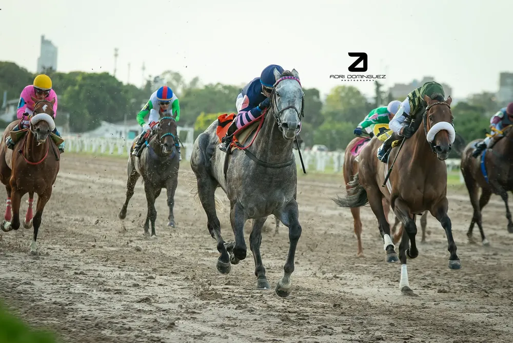 piedra preciosa 2405 3