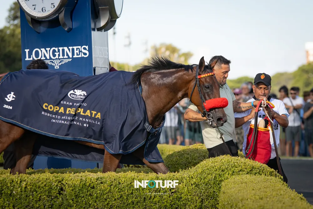 BRIENNE TRIGGER-2278