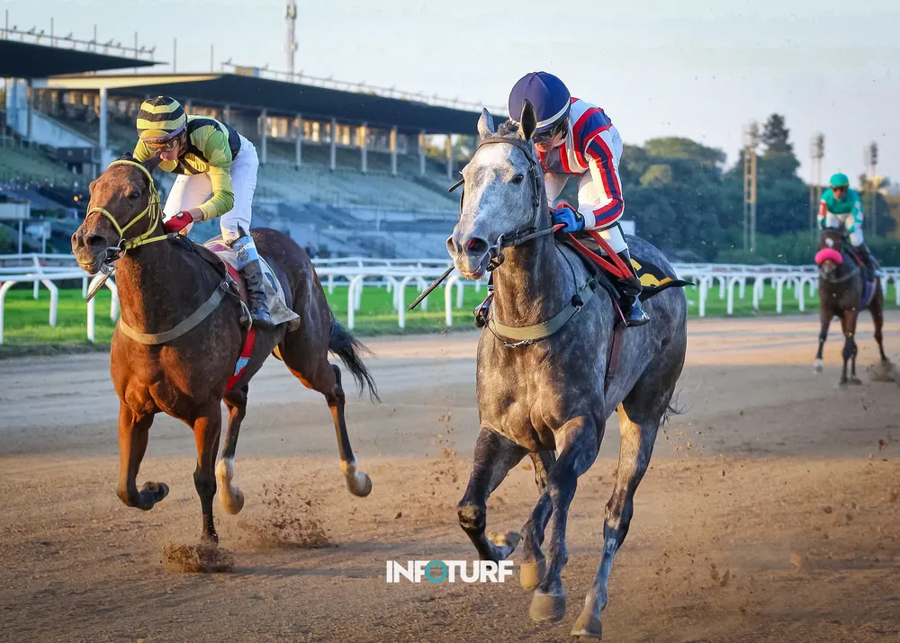 CANDY GLORIOSA (4 de 4)