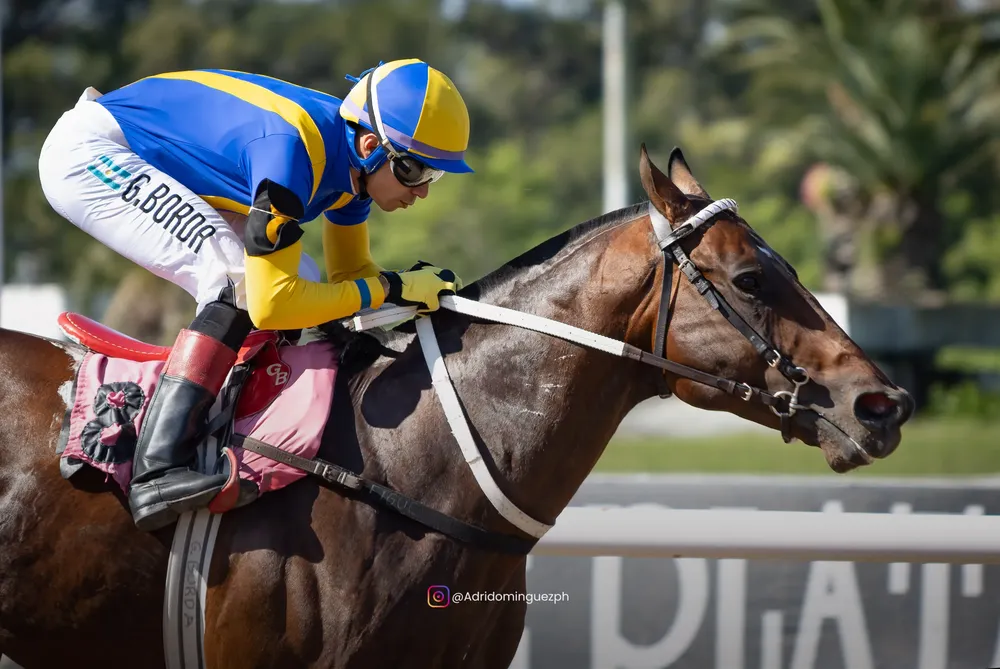 ES ARISTOCRATICO RECORD-2