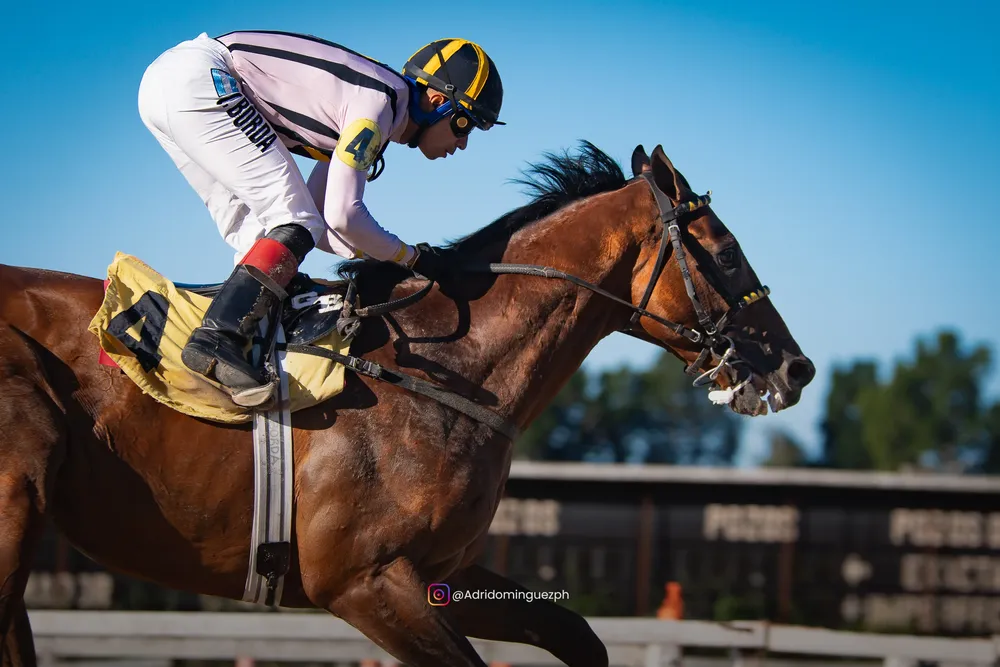 COMANDO SECRETO 0903 (6 de 11)