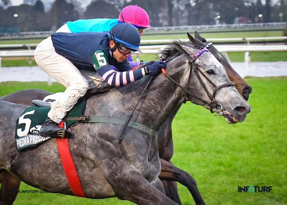 piedra preciosa (2 de 2)