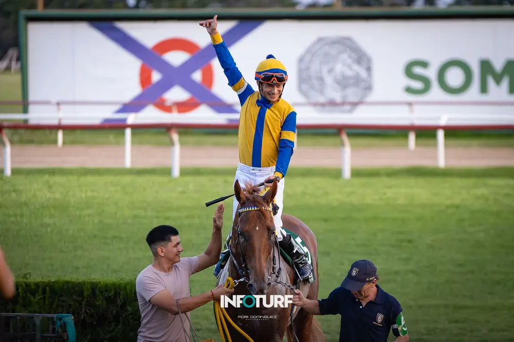 GREZZO MARTINEZ WEB-012