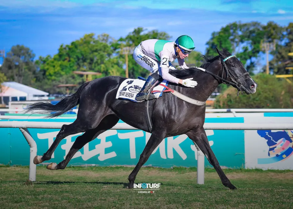 DREAM SEREA 2203 (2 de 3)