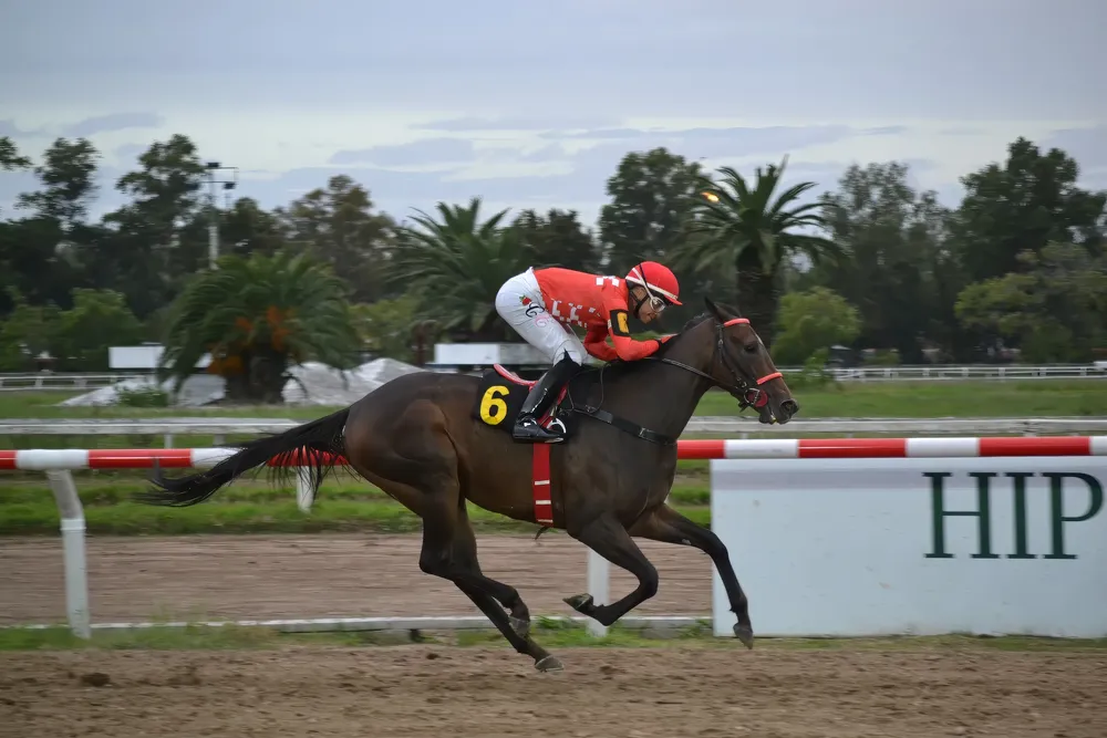 DSC_0664-topaz-sharpen-denoise-upscale-1x