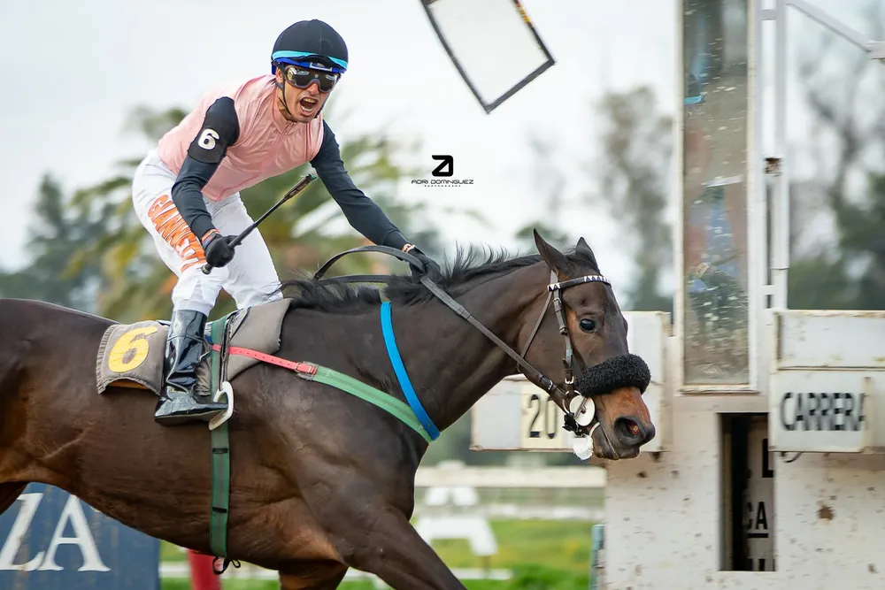 lagrimas y sonrisas (3) copia