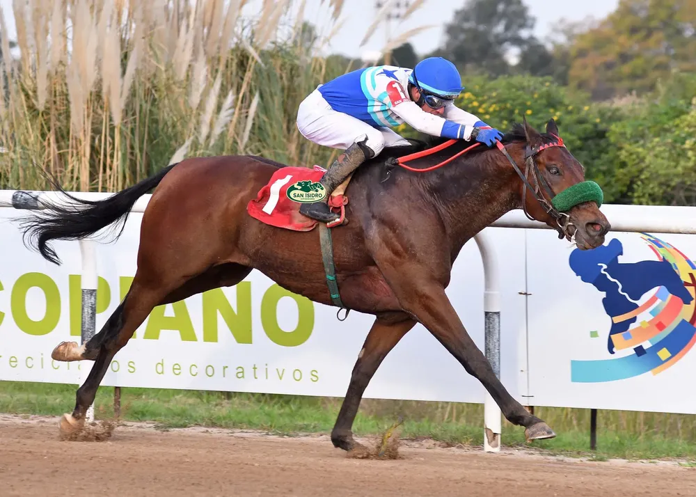 497529762_1104010971759279_5680558844374960280_n